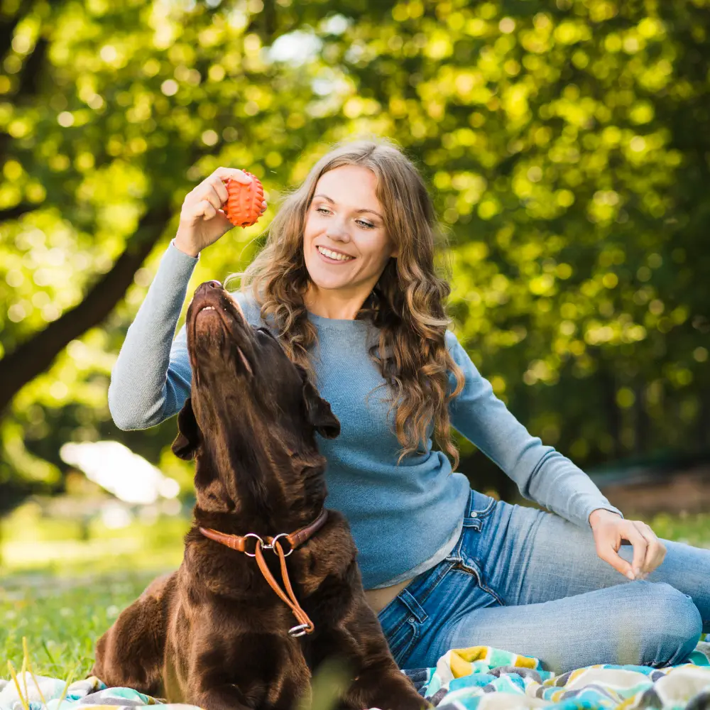 Lady owner Playing with his black big dog
